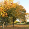 風の公園