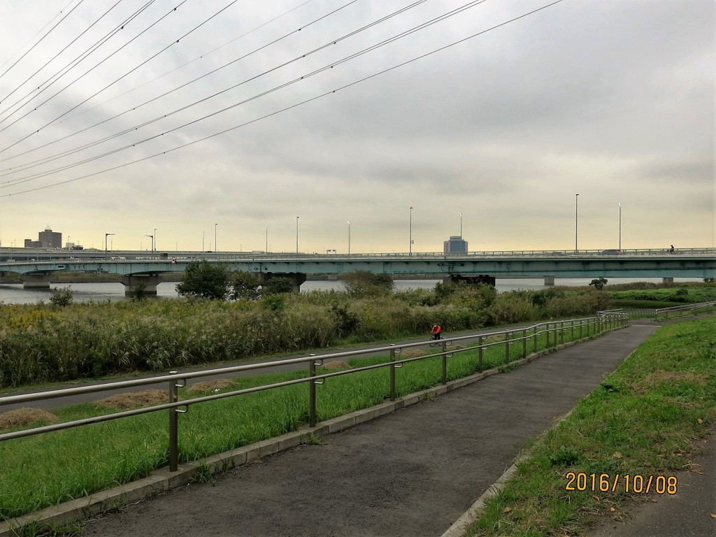 河川敷