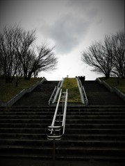 風の公園