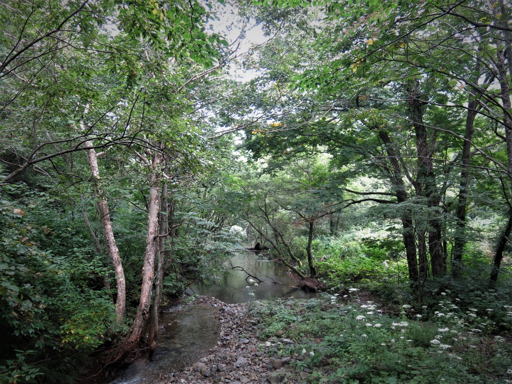 沢歩き