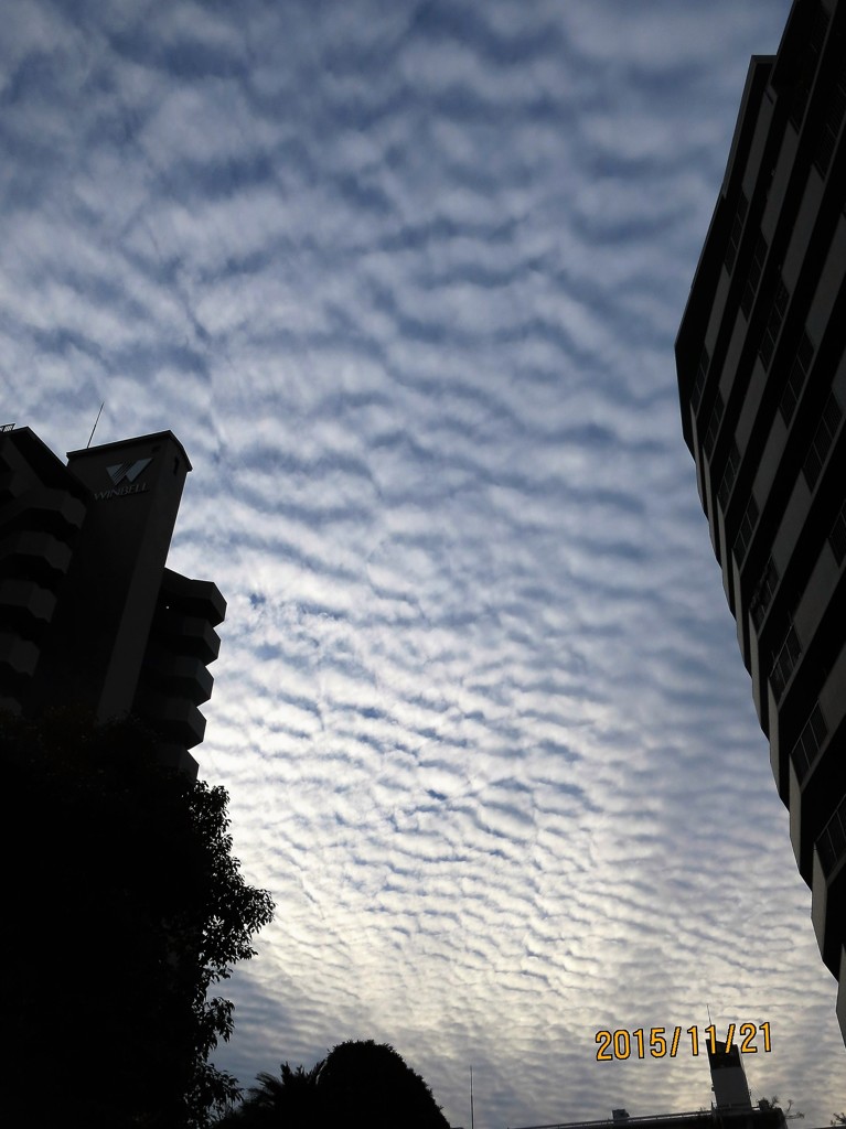 ヒツジ雲