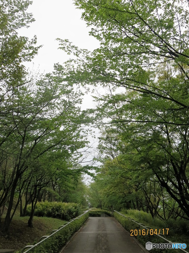 風の公園