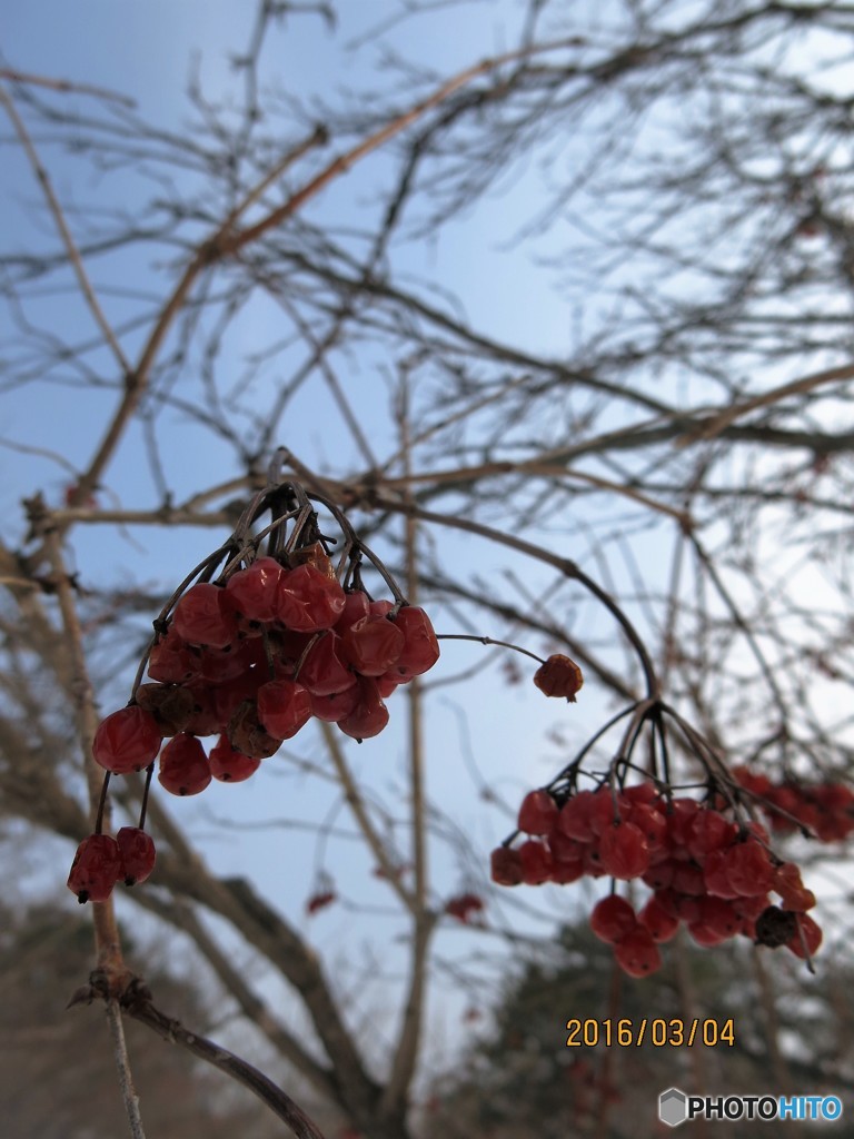 雪の中に