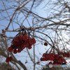 雪の中に
