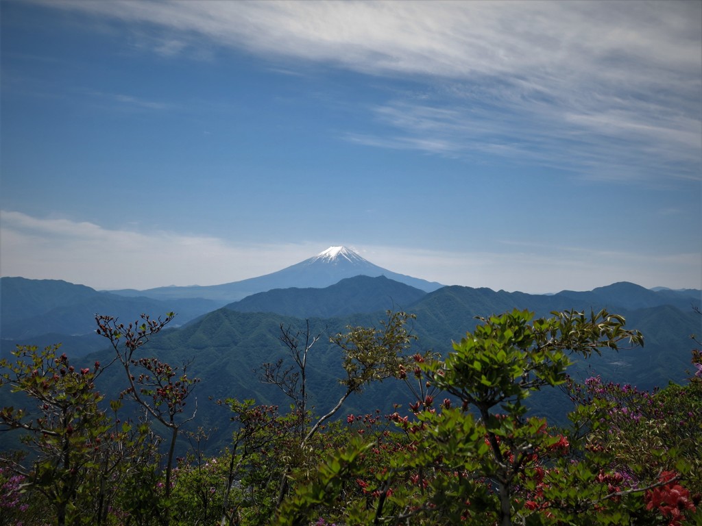 滝子山の頂にて