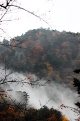 寸又峡