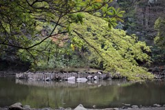三四郎池