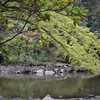 三四郎池