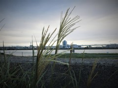 荒川放水路に出た