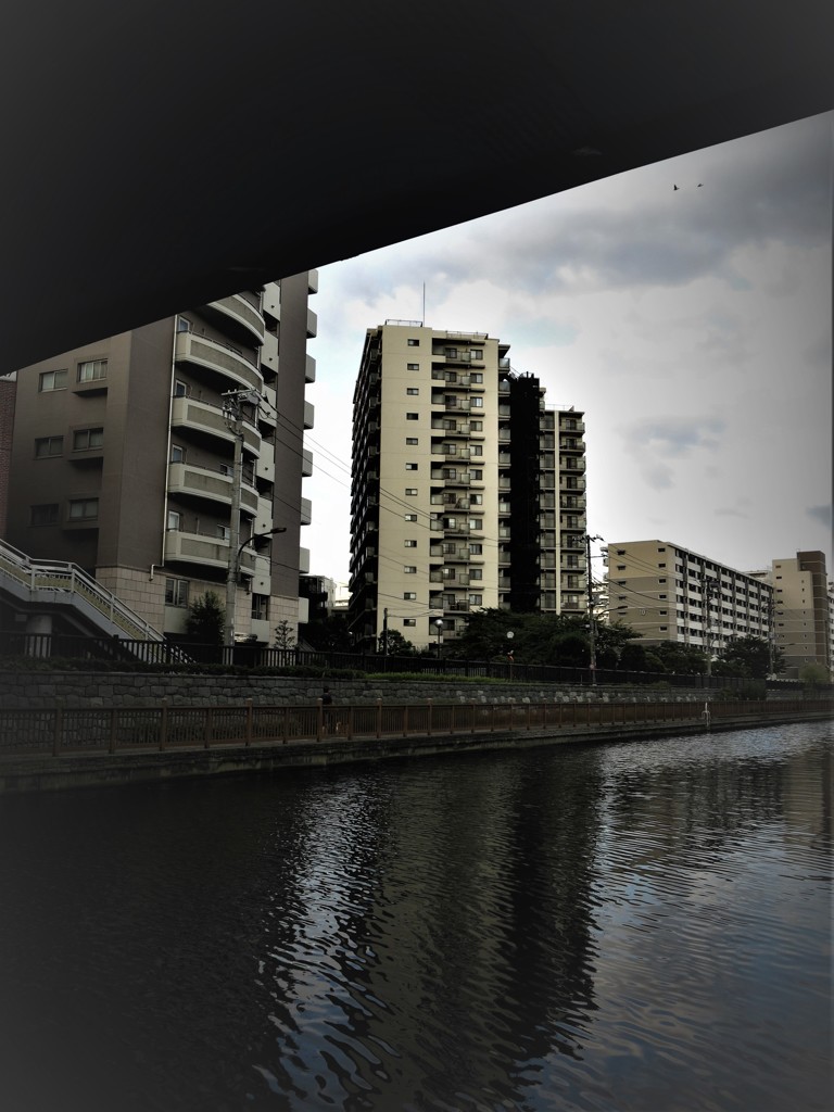 小名木川遊歩道に出た