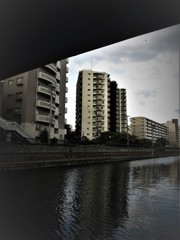 小名木川遊歩道に出た