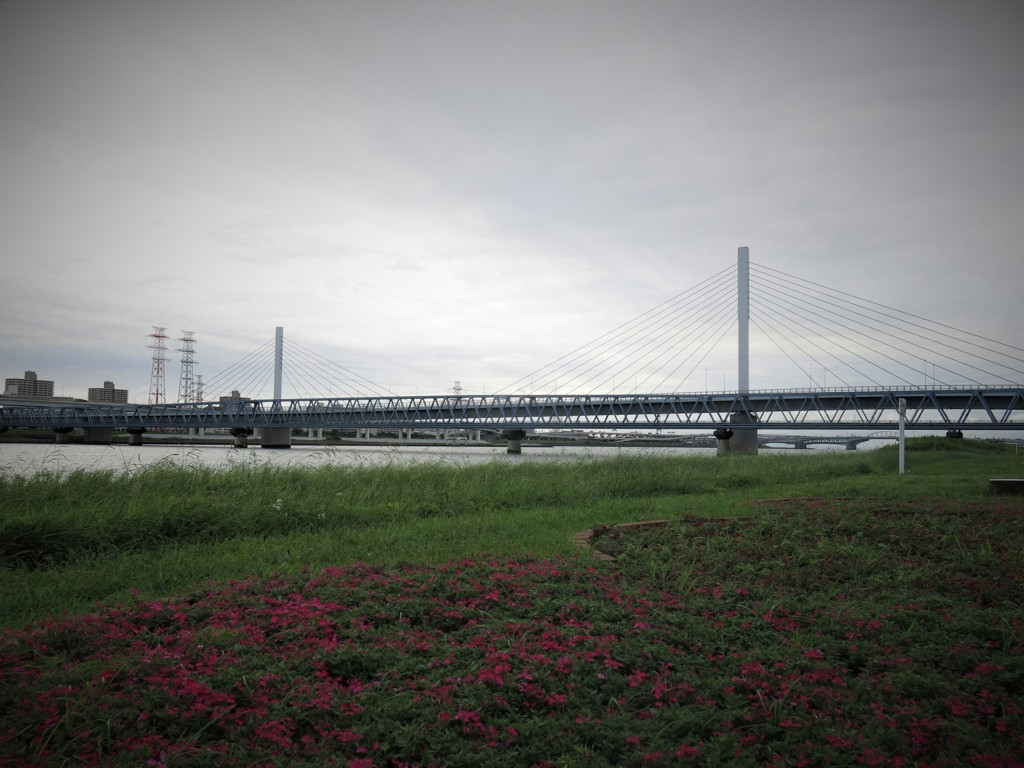 荒川放水路