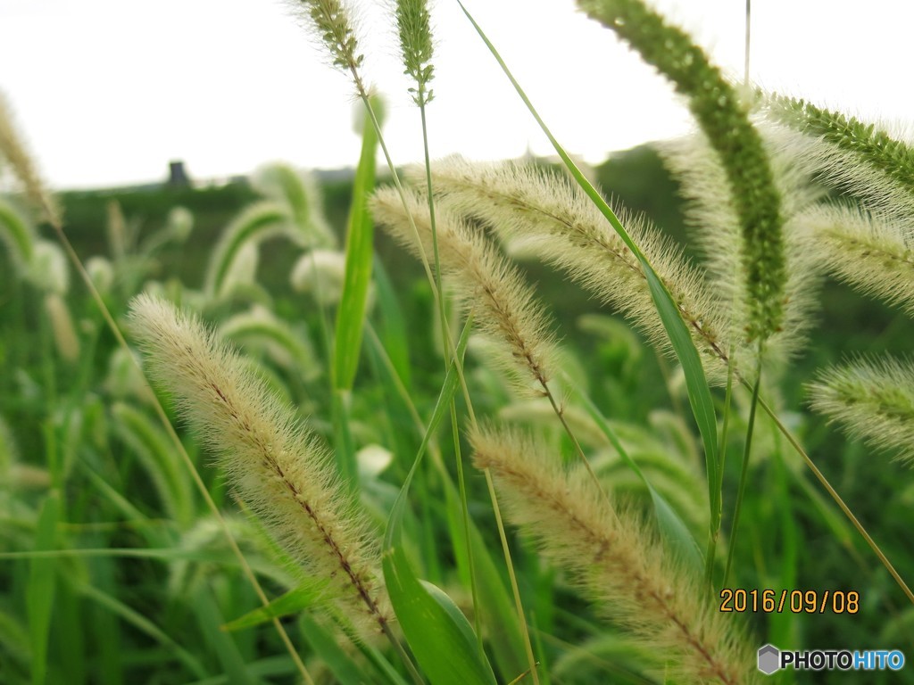 河川敷