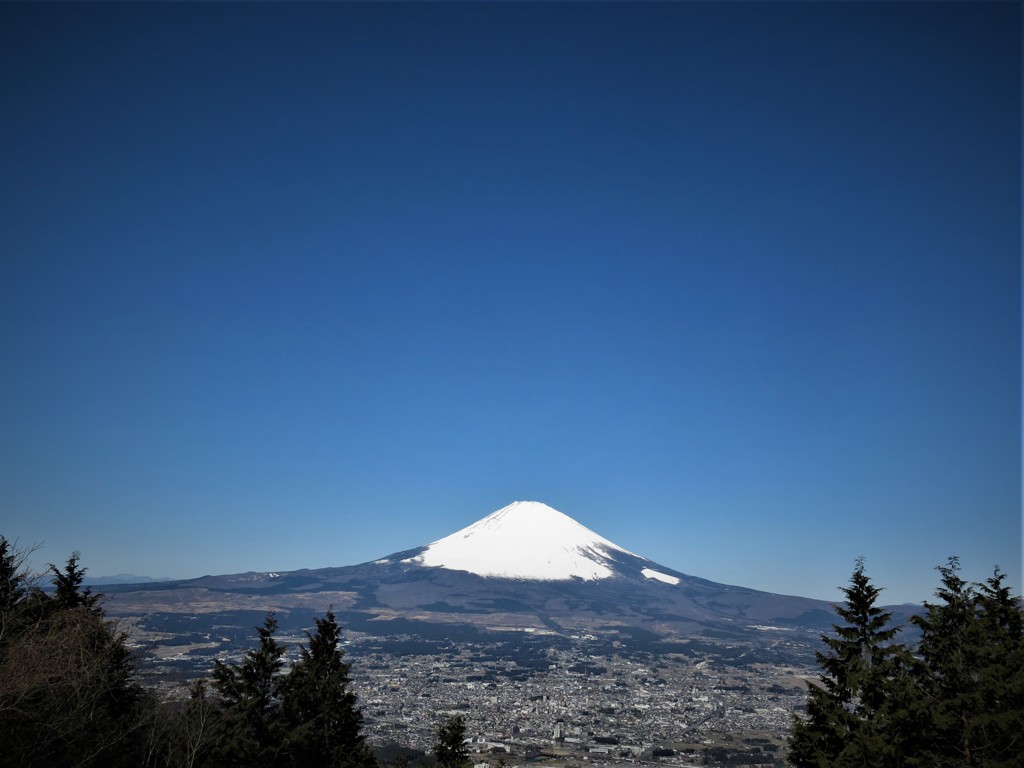 金時山に