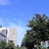 空模様