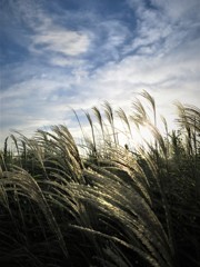 荒川放水路にて
