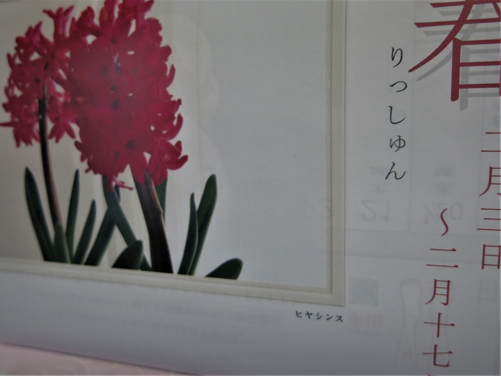 立春