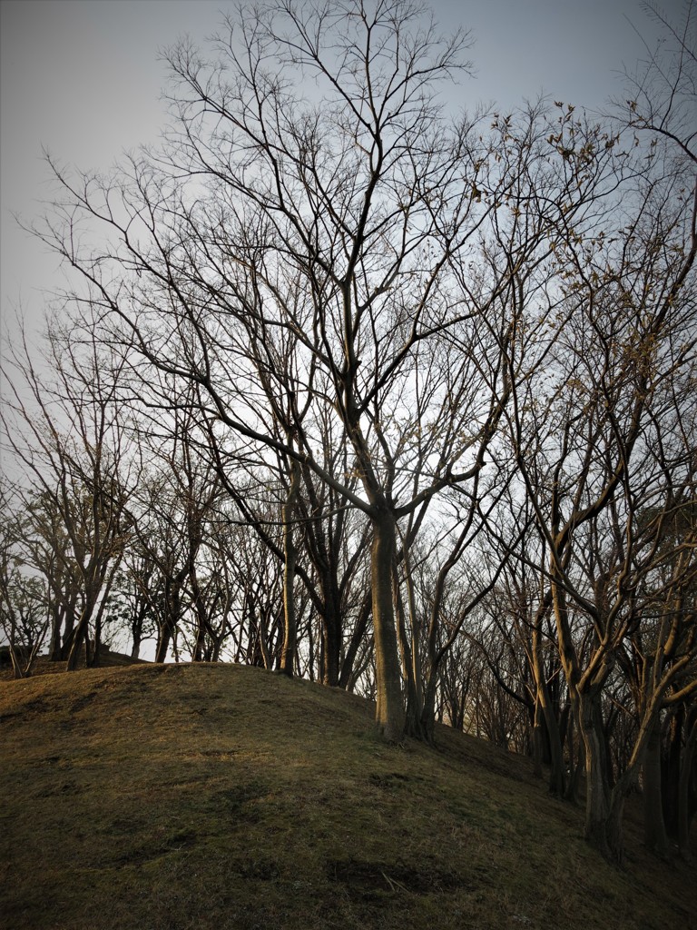 風の公園