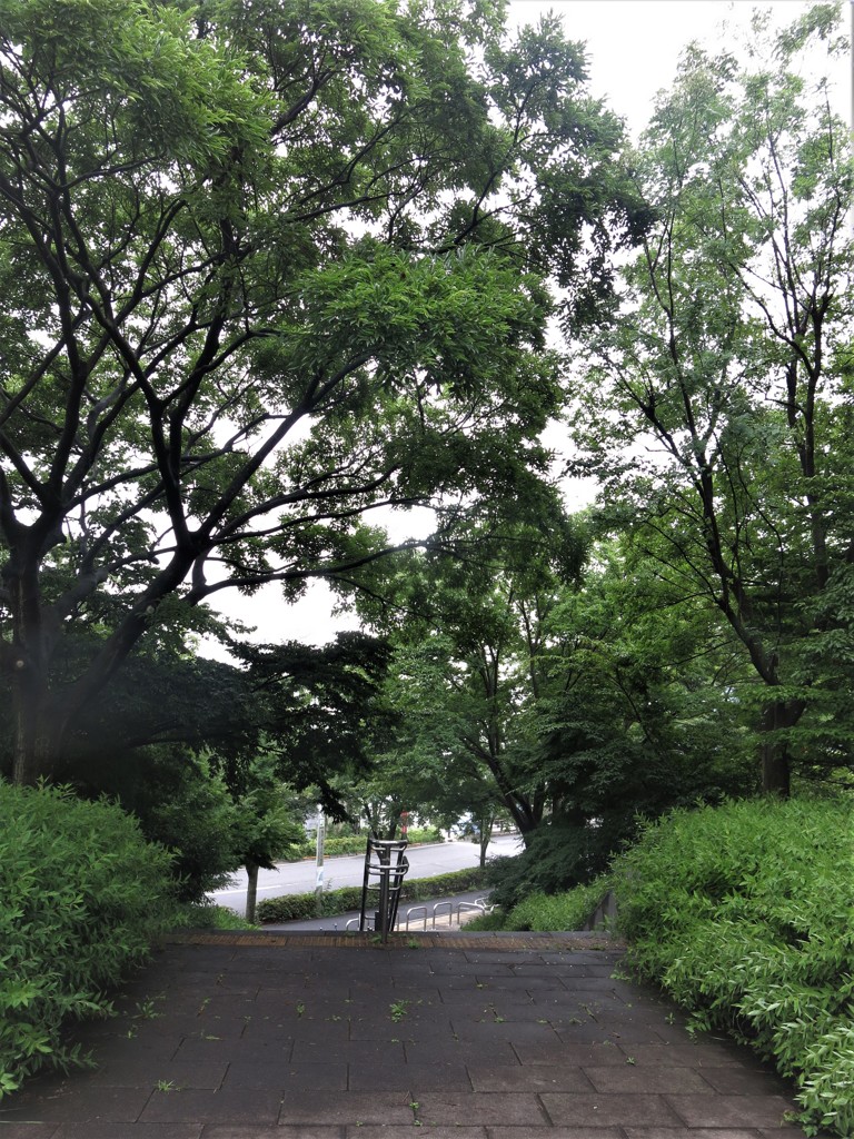 風の公園