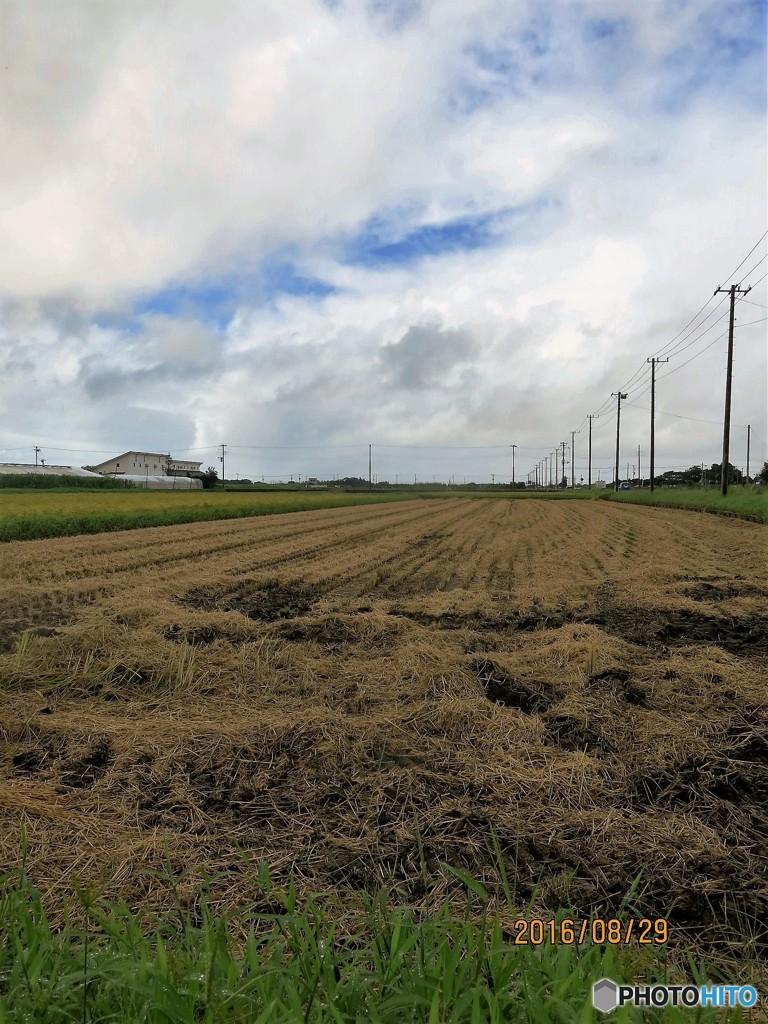 千葉に行ってきた