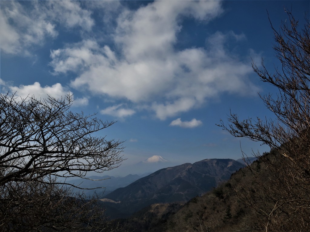 大山からの富士山