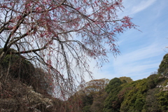 乾通りに