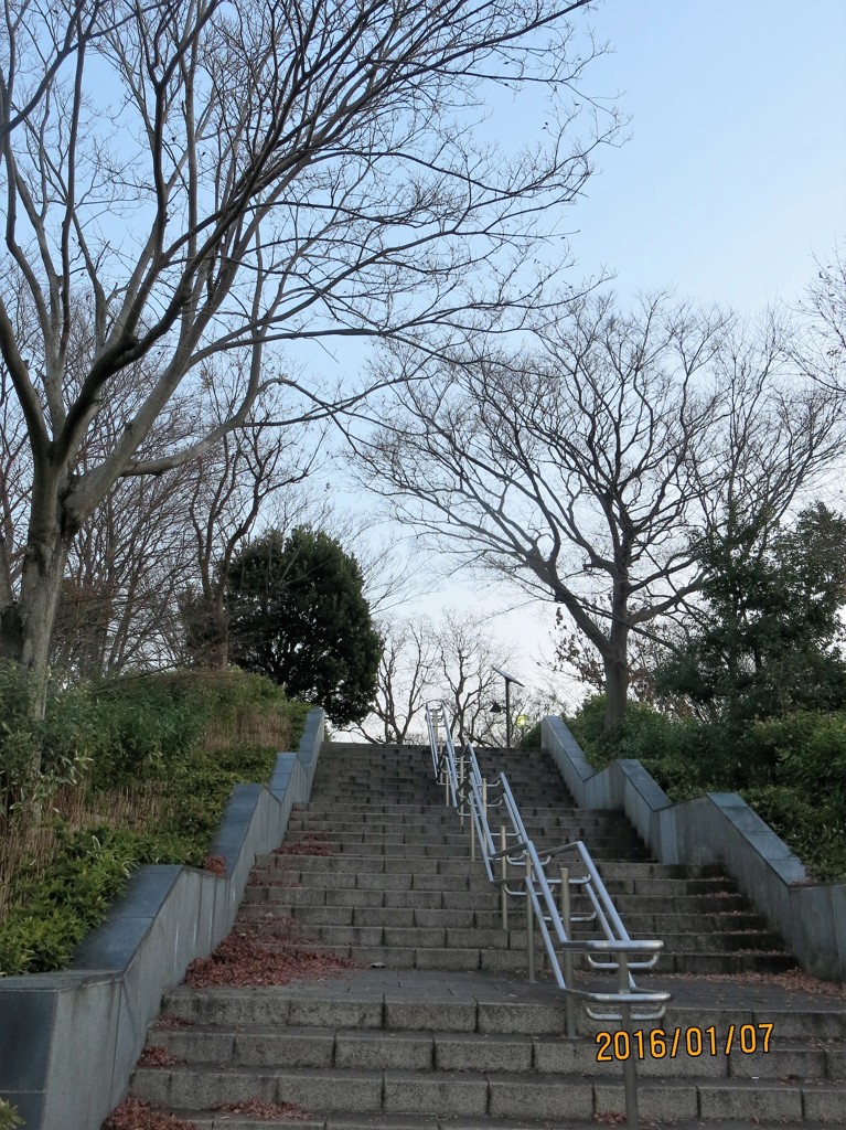002風の公園