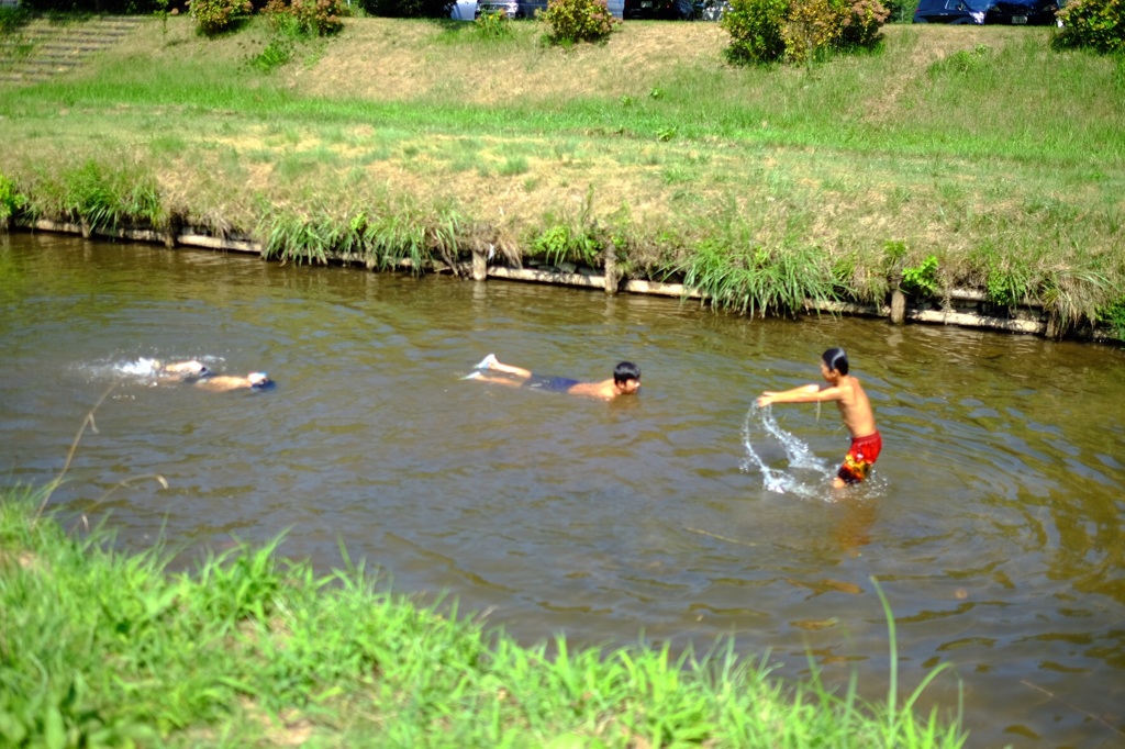 夏の思い出