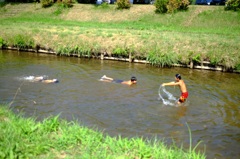 夏の思い出