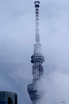 FULLMETAL TOWER on a rainy day