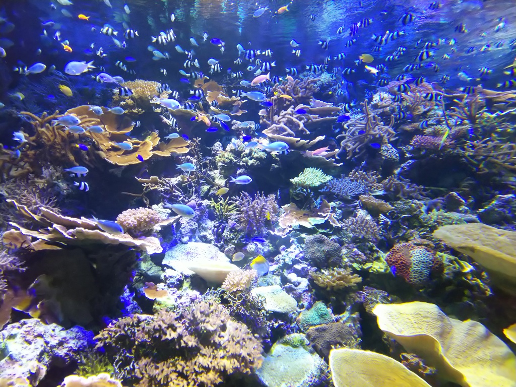 水族館