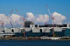 豊洲新市場