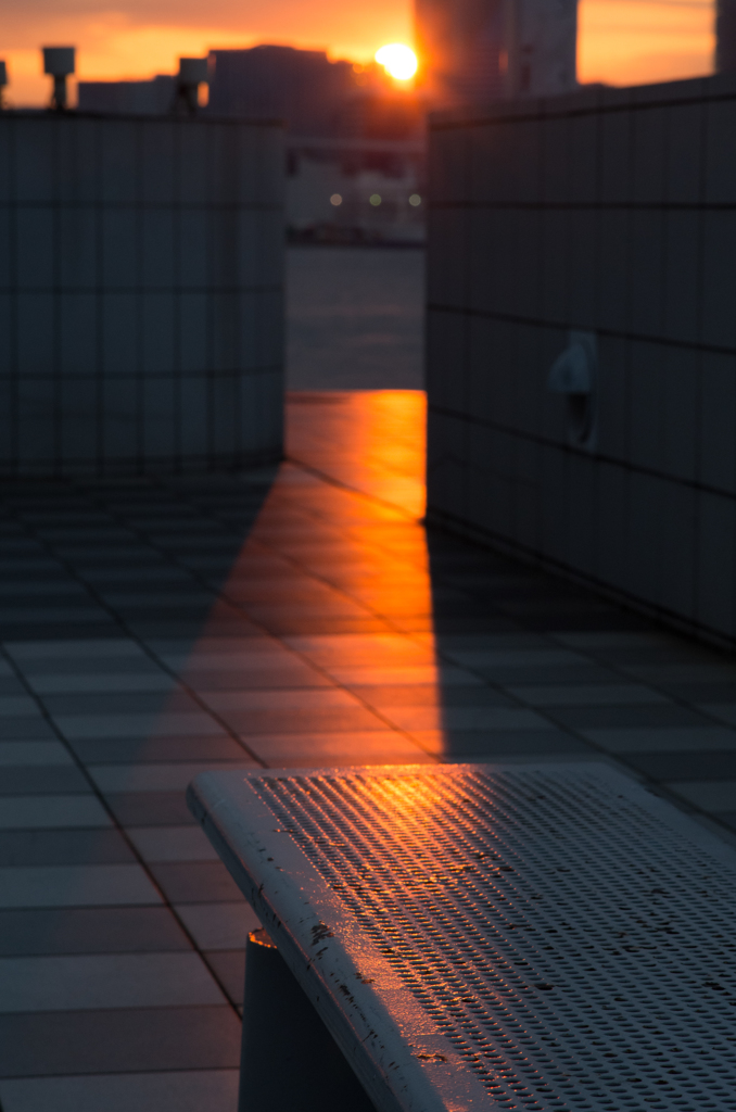 斜陽2