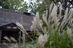EDO-TOKYO OPEN AIR ARCHITECTURAL MUSEUM