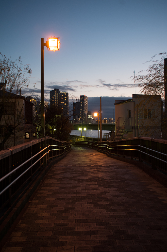 夕暮れ