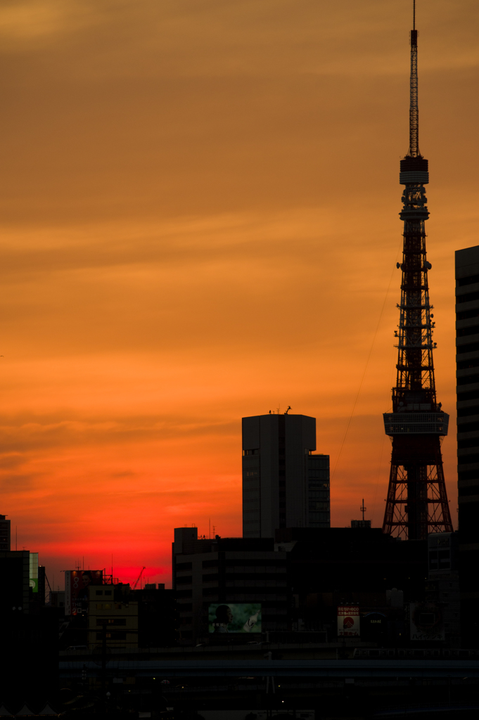 晴海埠頭より