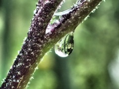 雨上がり