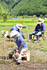 燃え尽き症候群