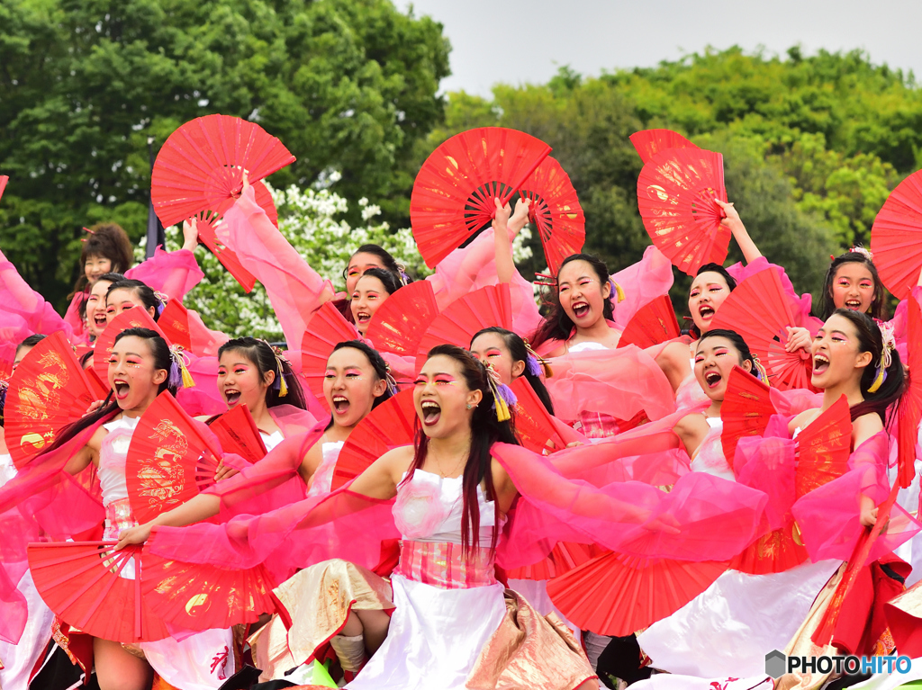 疾風乱舞　参