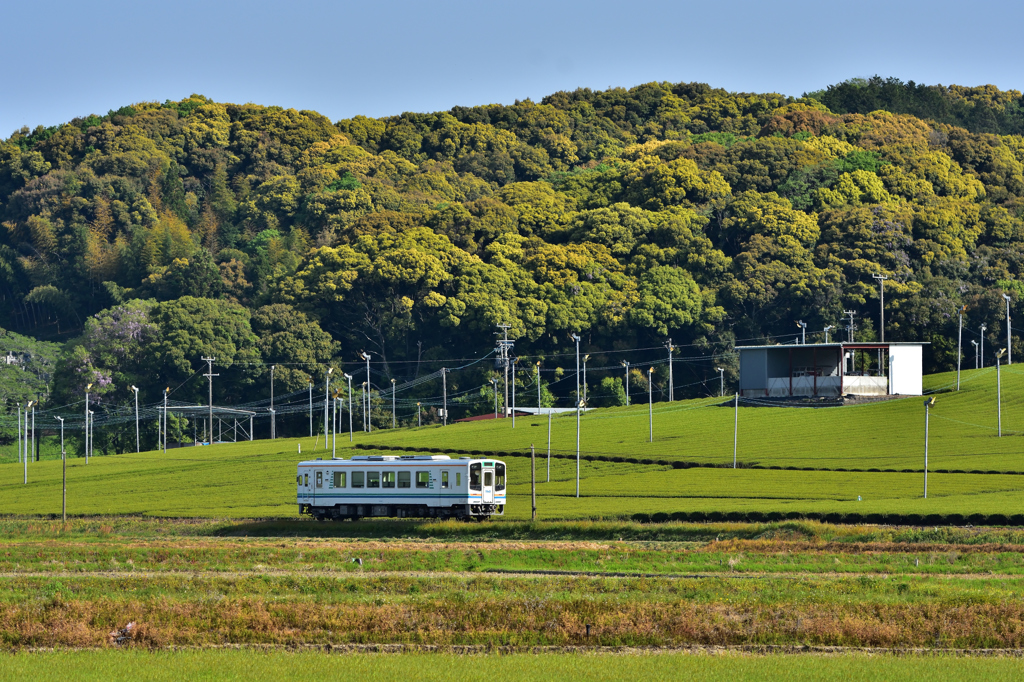 The　Tenhamasen