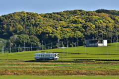 The　Tenhamasen