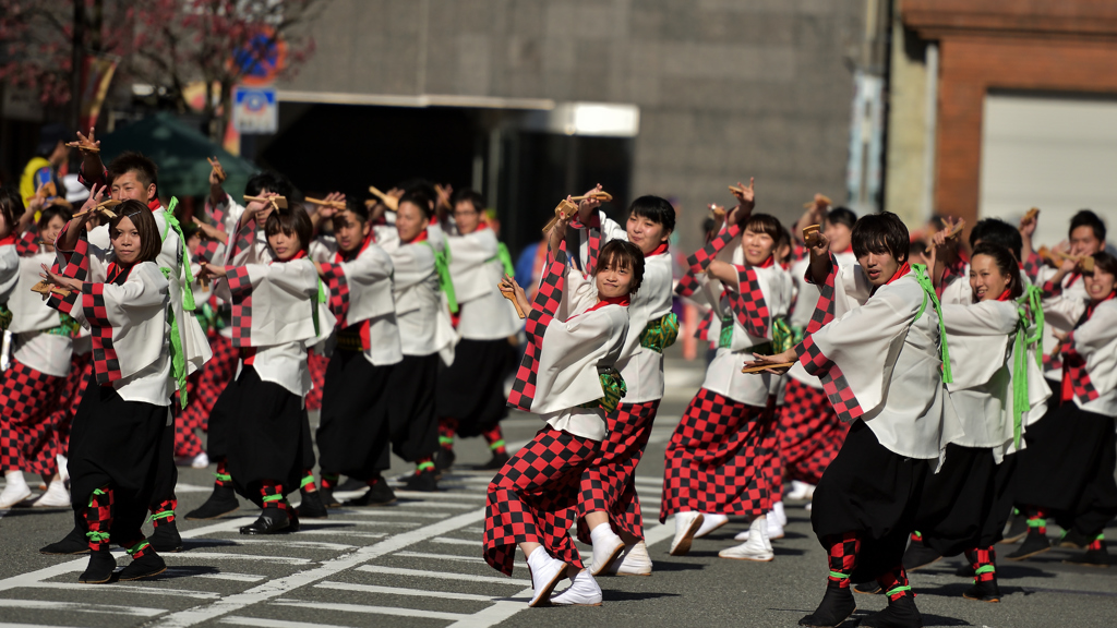 よさこい東海道2016