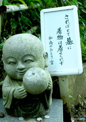 今日の一言　7