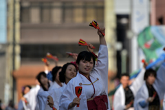よさこい東海道2016