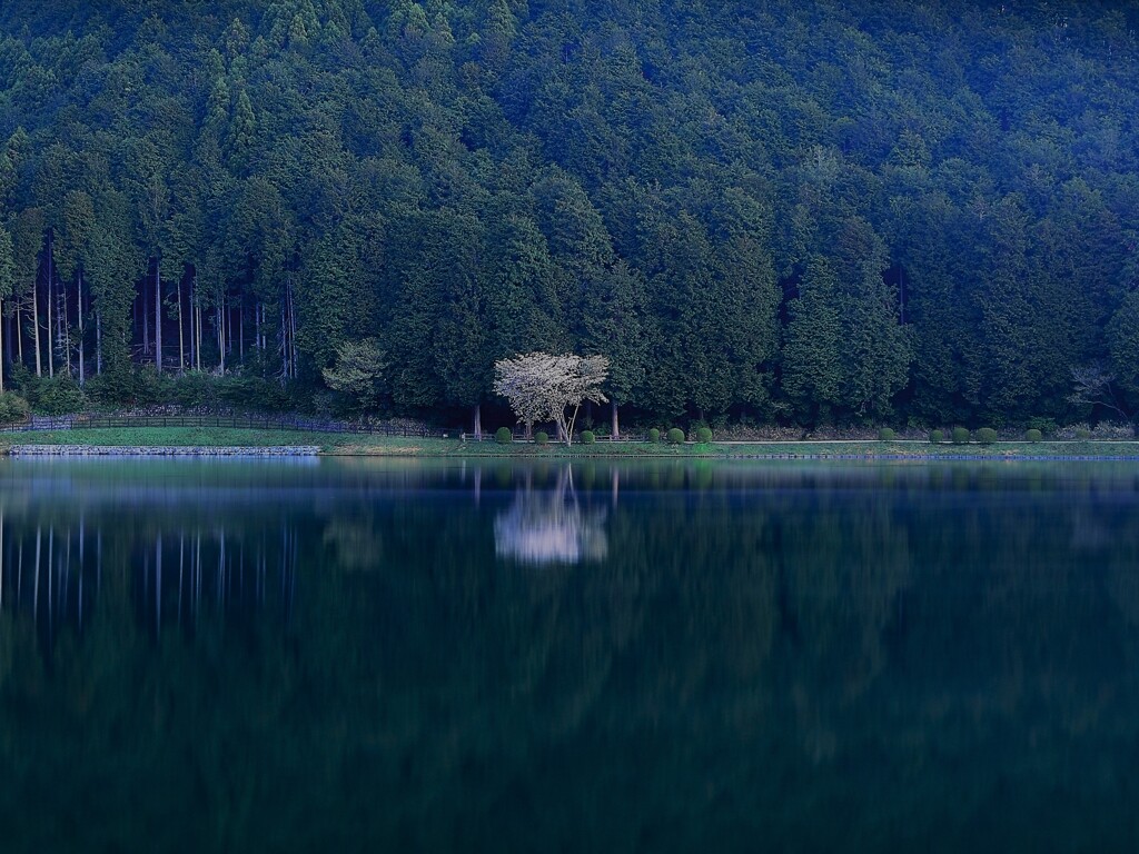 静かな湖畔