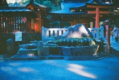 FILM NM18