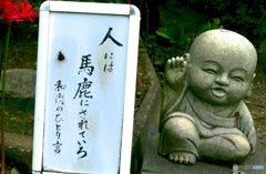 今日の一言　12