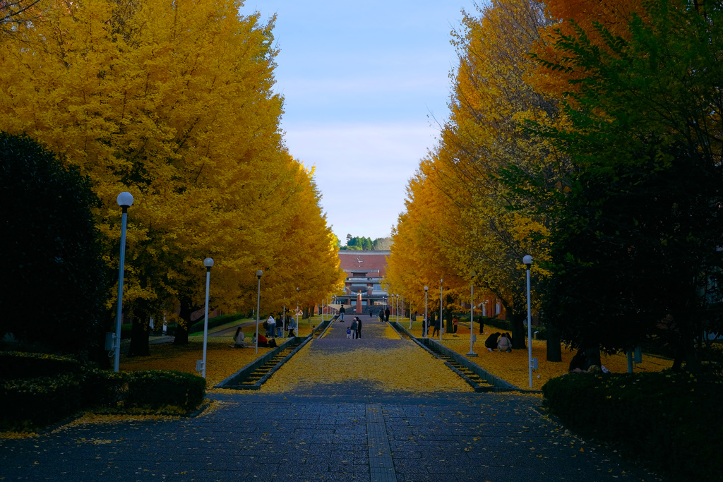 学園天国