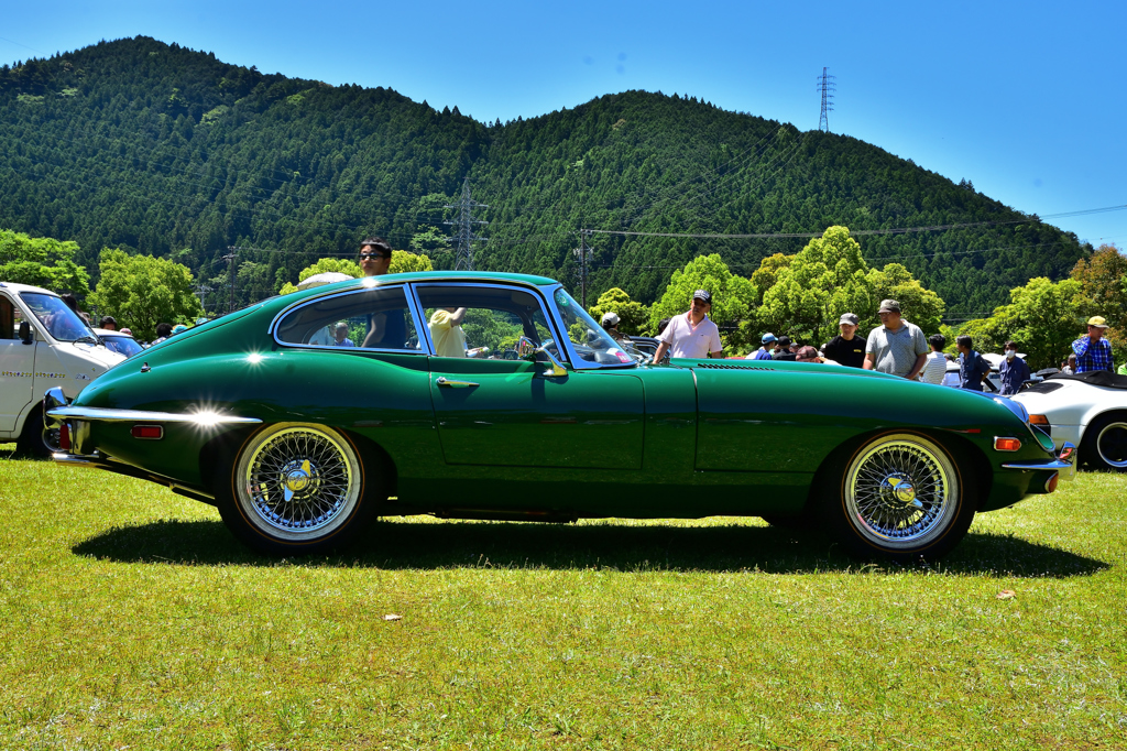 Jaguar　E-type　fhc　sr.Ⅱ