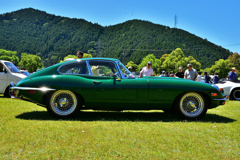 Jaguar　E-type　fhc　sr.Ⅱ
